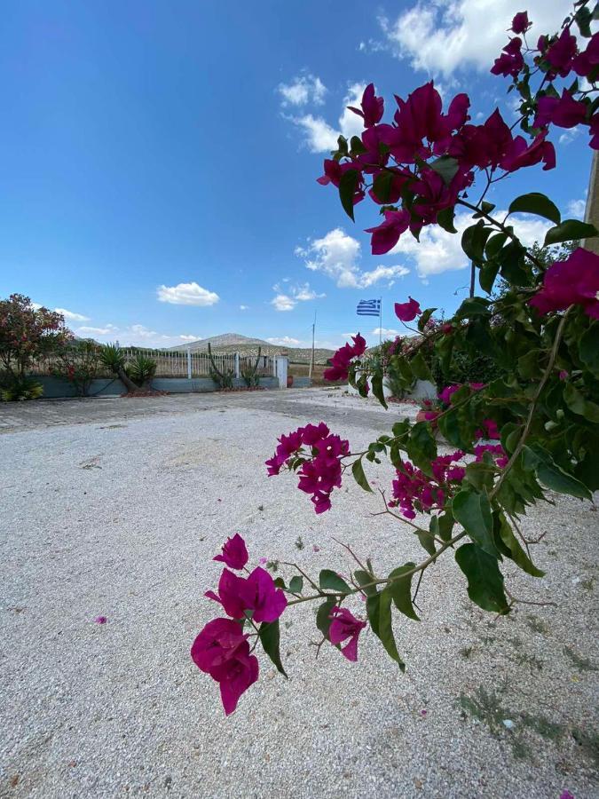 ארמיוני Leonidas Resort מראה חיצוני תמונה